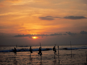 Family holiday to Sri Lanka